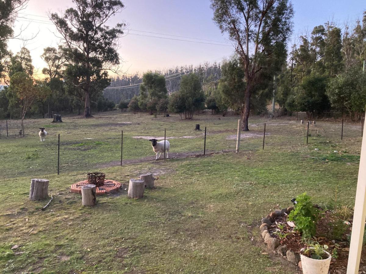 Winganah Holiday home Murdunna